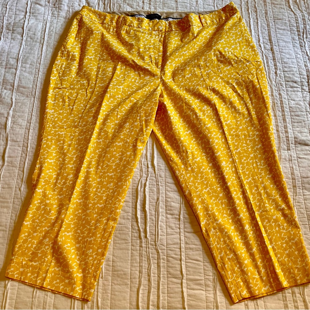 Talbots Woman Curvy Yellow & White Abstract Print Cotton Pants 24W
